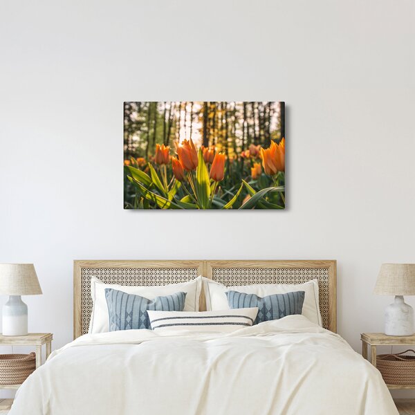 Narancssárga tulipán képe (90x60 cm)