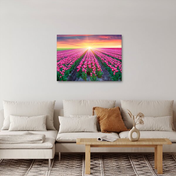 Tulipán mező és a nap képe (70x50 cm)