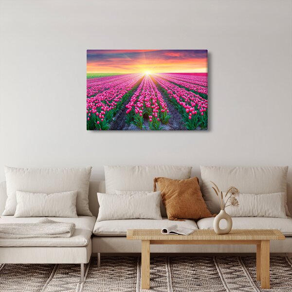 Tulipán mező és a nap képe (90x60 cm)
