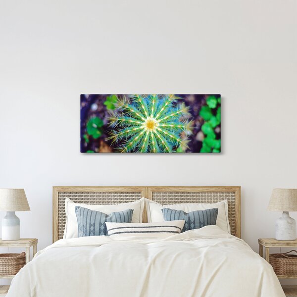 Kaktusz kép (120x50 cm)