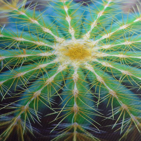 Kaktusz kép (150x105 cm)