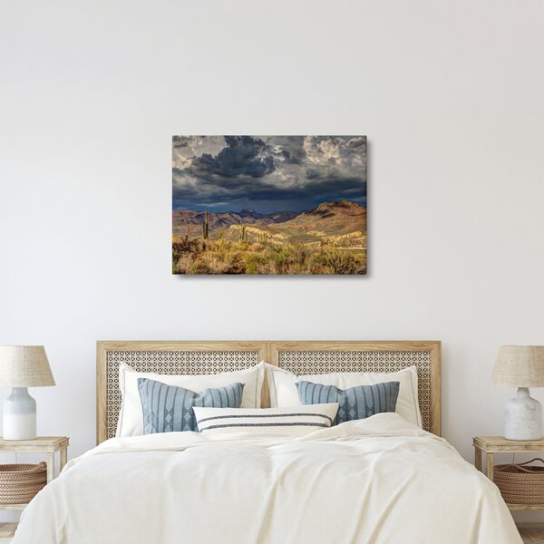 Kép - kaktuszok a természetben (70x50 cm)