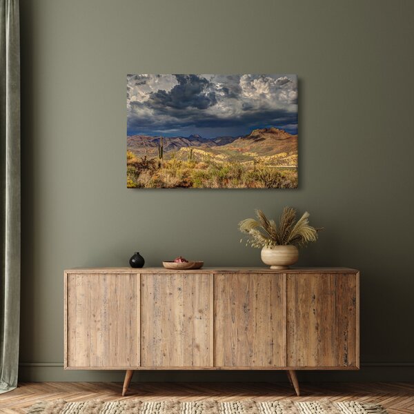 Kép - kaktuszok a természetben (90x60 cm)