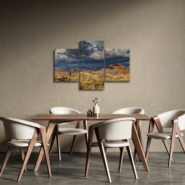 Kép - kaktuszok a természetben (90x60 cm)