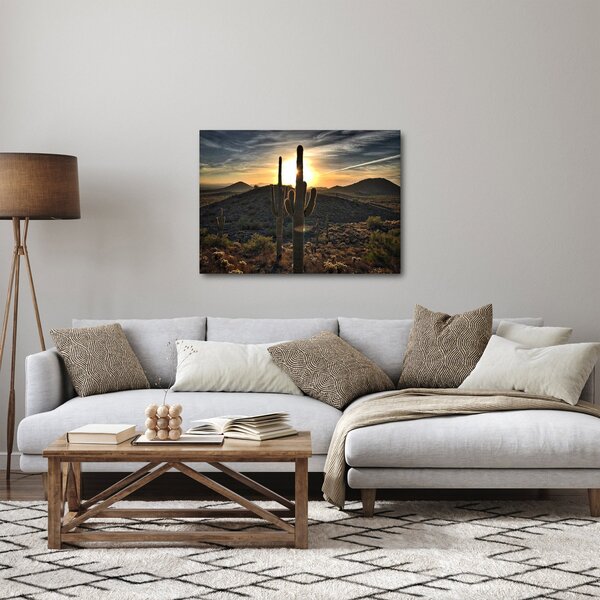Kép - kaktuszok a napon (70x50 cm)