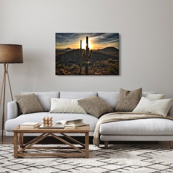 Kép - kaktuszok a napon (90x60 cm)
