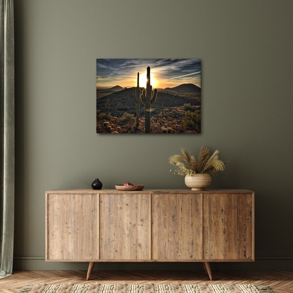 Kép - kaktuszok a napon (70x50 cm)