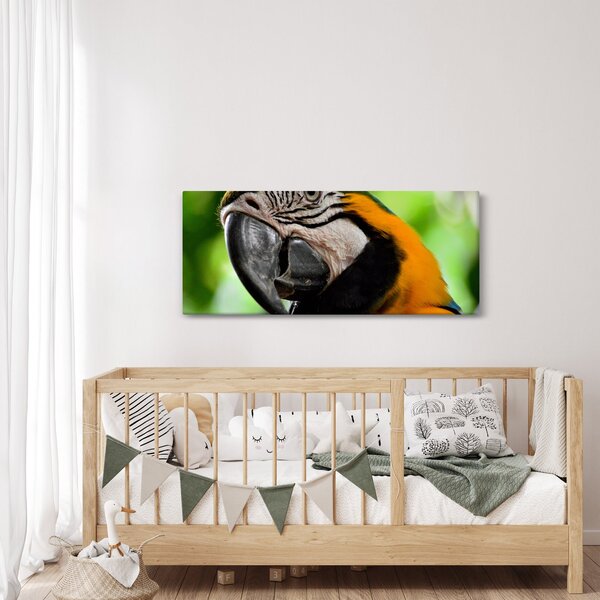 Papagáj képe (120x50 cm)
