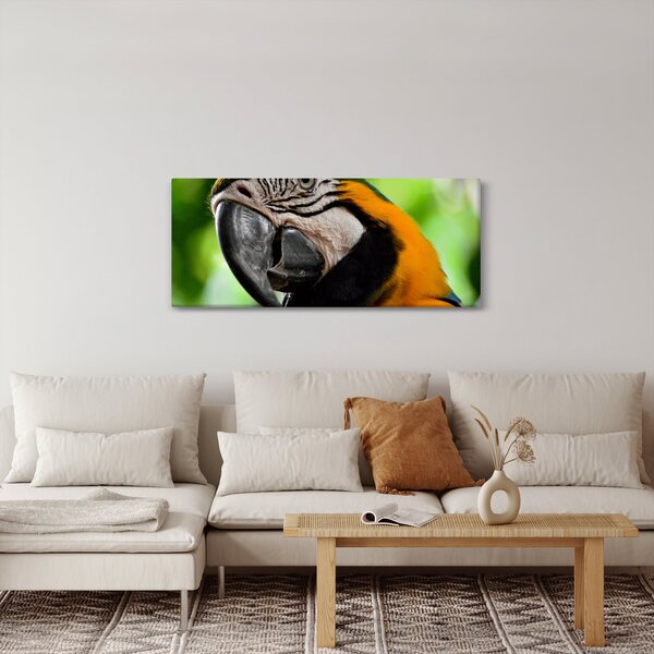 Papagáj képe (120x50 cm)