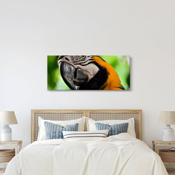 Papagáj képe (120x50 cm)