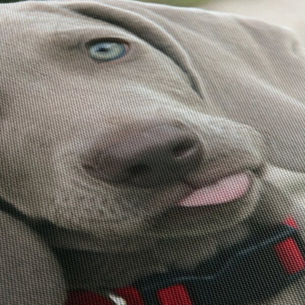Kép - weimaraner kölyökkutya (órával) (90x30 cm)