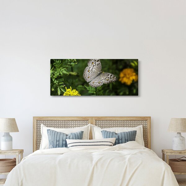 Kép - fehér pillangó (120x50 cm)