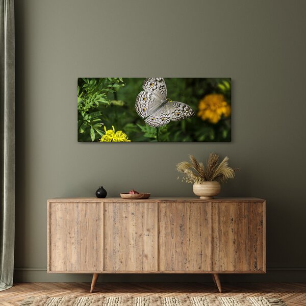 Kép - fehér pillangó (120x50 cm)