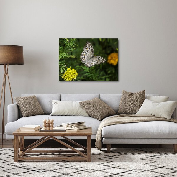 Kép - fehér pillangó (70x50 cm)