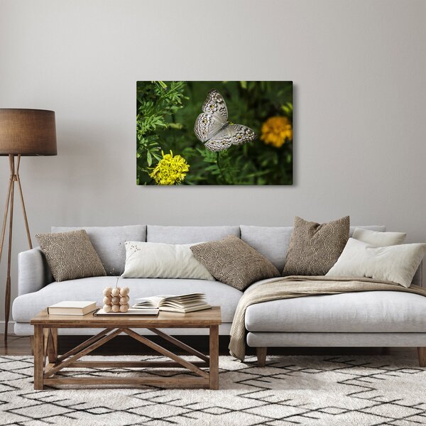 Kép - fehér pillangó (90x60 cm)