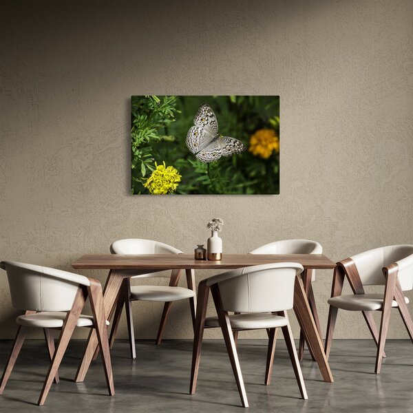 Kép - fehér pillangó (90x60 cm)