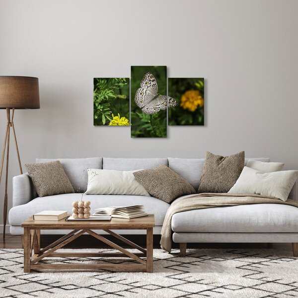Kép - fehér pillangó (90x60 cm)