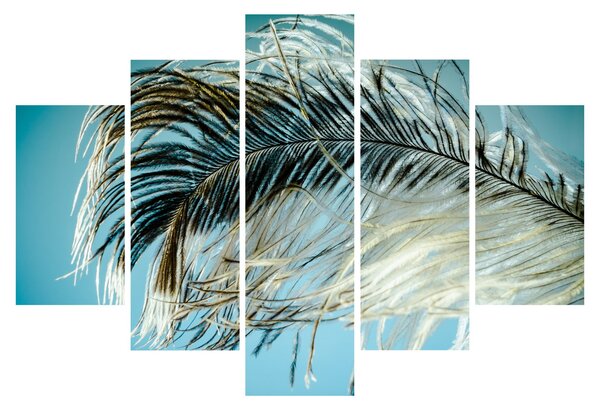 Tollas kép (150x105 cm)