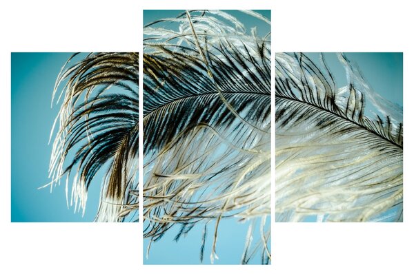 Tollas kép (90x60 cm)