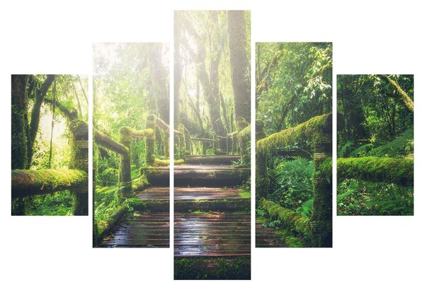 Kép - falépcsők az erdőben (150x105 cm)