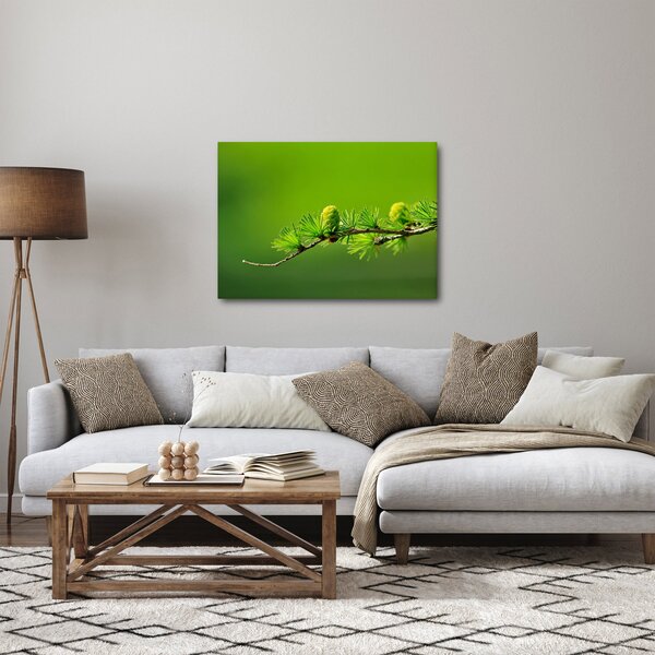 Zöld fenyőtoboz képe (70x50 cm)
