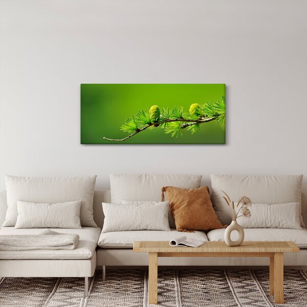 Zöld fenyőtoboz képe (120x50 cm)
