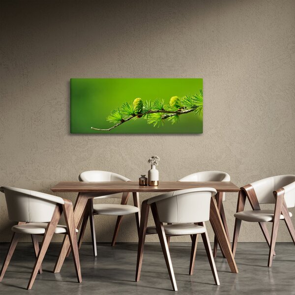 Zöld fenyőtoboz képe (120x50 cm)