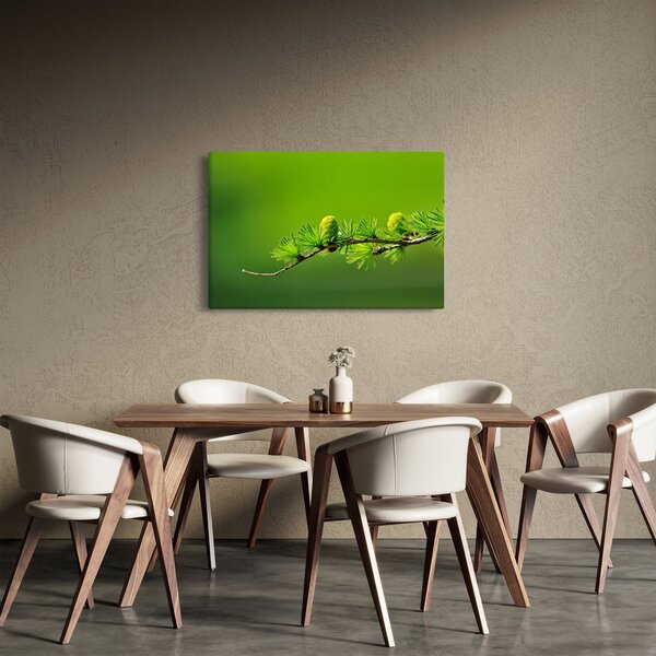 Zöld fenyőtoboz képe (90x60 cm)