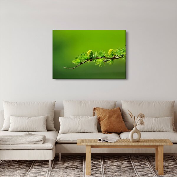 Zöld fenyőtoboz képe (90x60 cm)