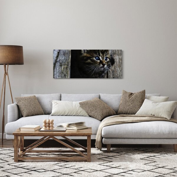 Cica képe (120x50 cm)