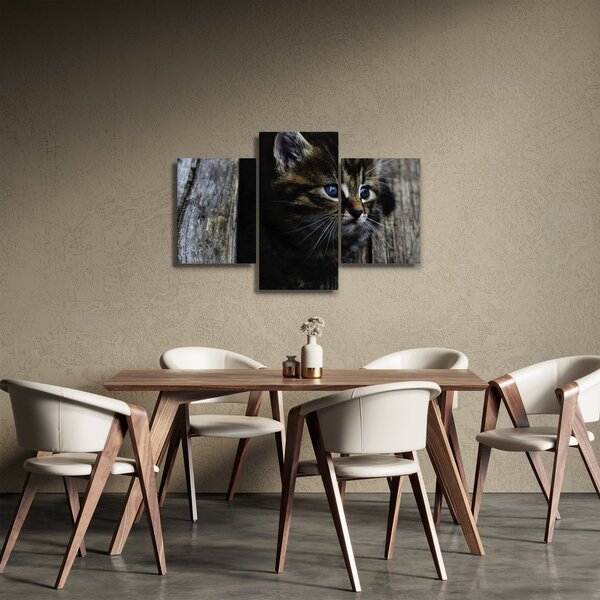 Cica képe (90x60 cm)