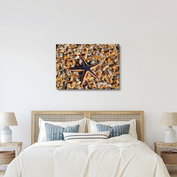 Egy tengeri csillag képe (70x50 cm)