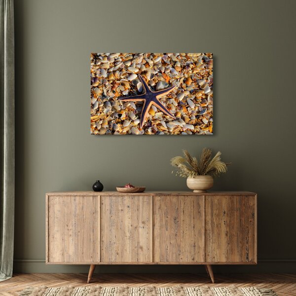 Egy tengeri csillag képe (90x60 cm)