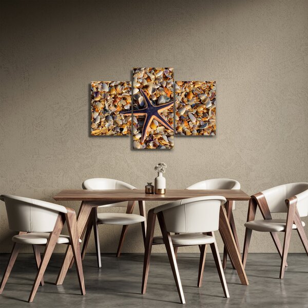 Egy tengeri csillag képe (90x60 cm)