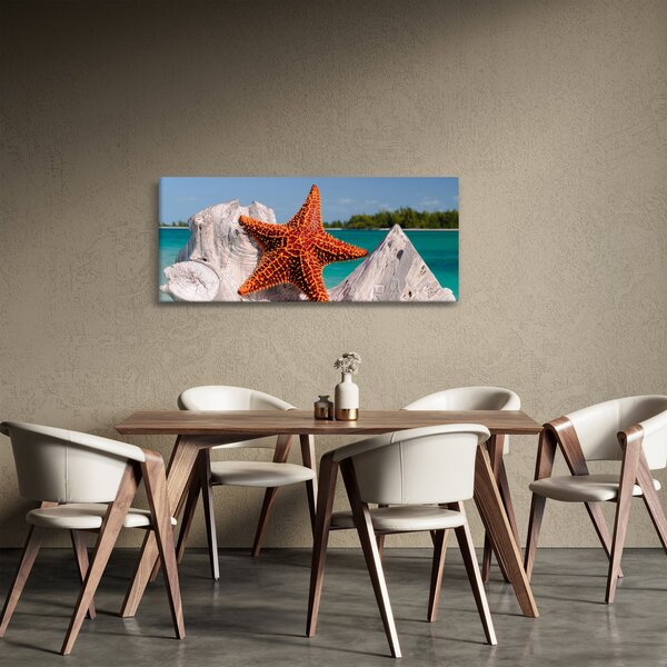 Egy tengeri csillag képe (120x50 cm)