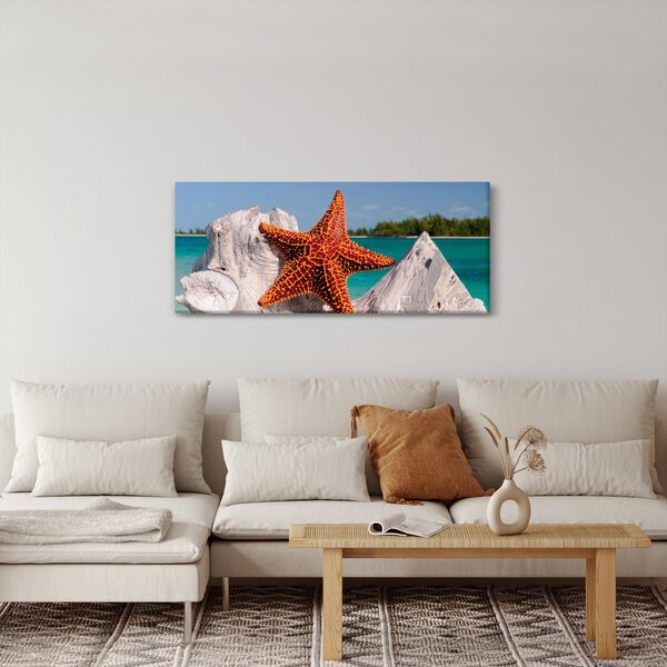 Egy tengeri csillag képe (120x50 cm)