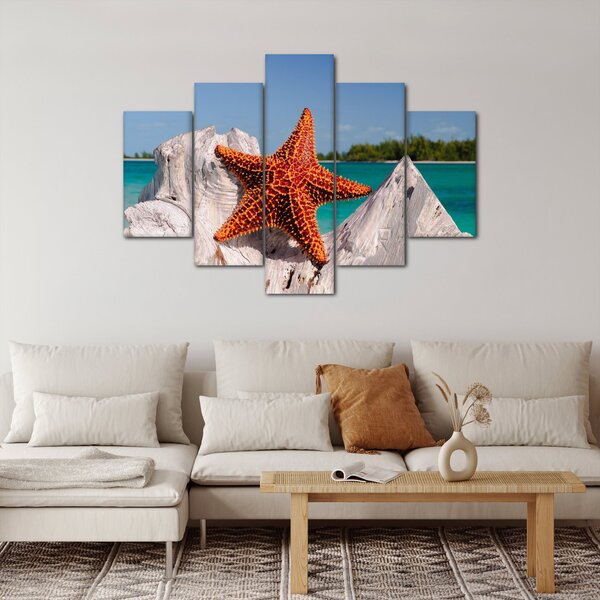 Egy tengeri csillag képe (150x105 cm)