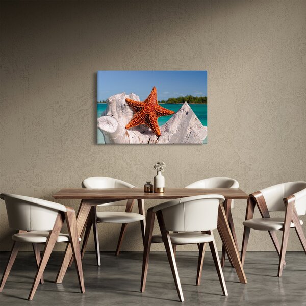 Egy tengeri csillag képe (90x60 cm)
