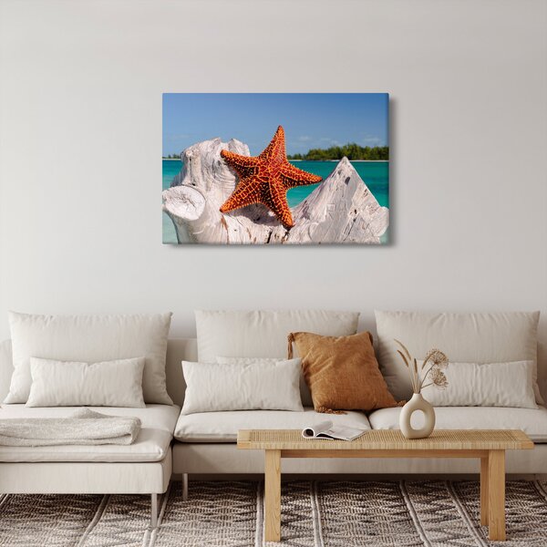 Egy tengeri csillag képe (90x60 cm)