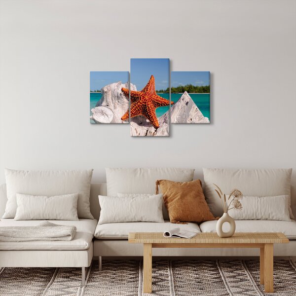 Egy tengeri csillag képe (90x60 cm)
