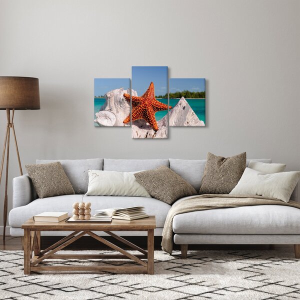 Egy tengeri csillag képe (90x60 cm)