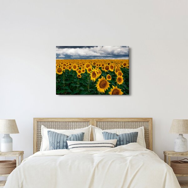 Napraforgó mező képe (90x60 cm)
