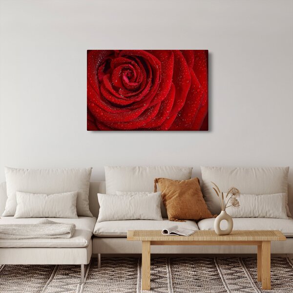 Kép - részlet a rózsáról (90x60 cm)