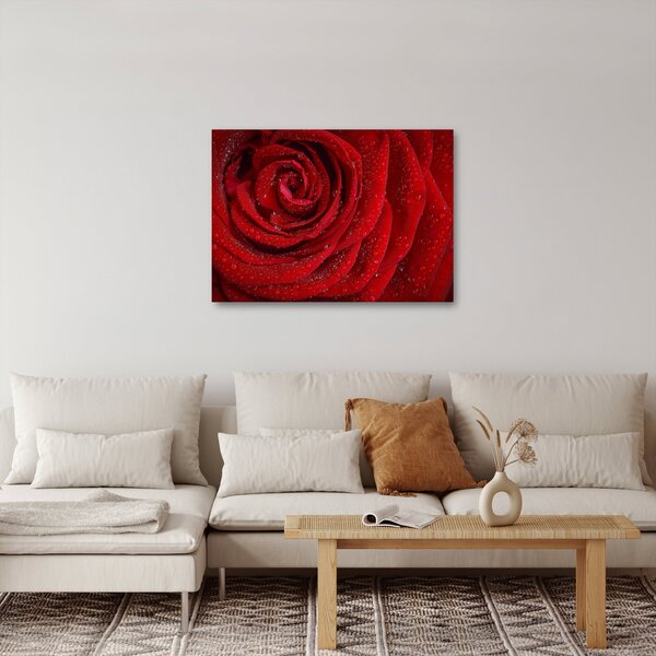 Kép - részlet a rózsáról (70x50 cm)