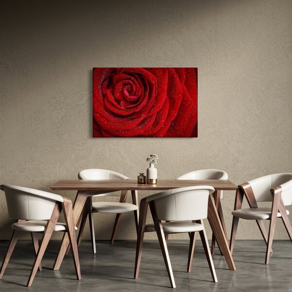 Kép - részlet a rózsáról (90x60 cm)