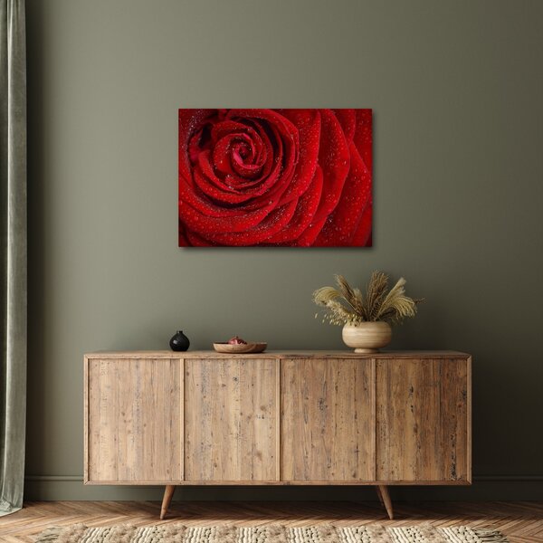 Kép - részlet a rózsáról (70x50 cm)