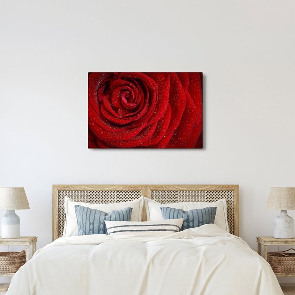 Kép - részlet a rózsáról (90x60 cm)