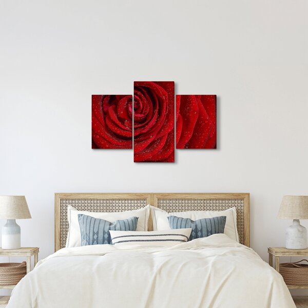 Kép - részlet a rózsáról (90x60 cm)