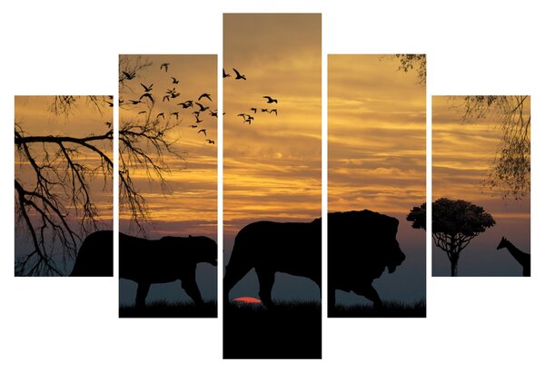 Safari képe (150x105 cm)