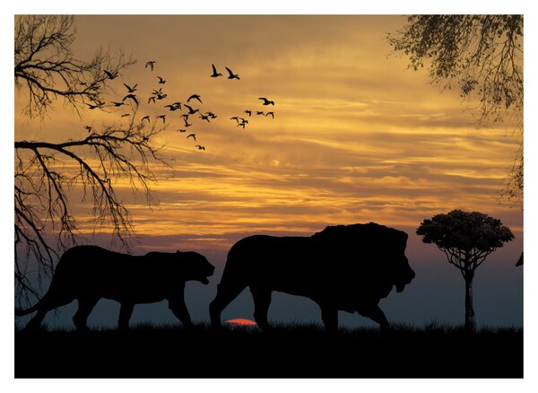 Safari képe (70x50 cm)